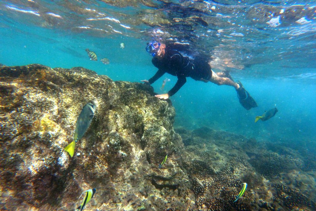 Cuáles son los destinos Fiesta Americana Vacation Club