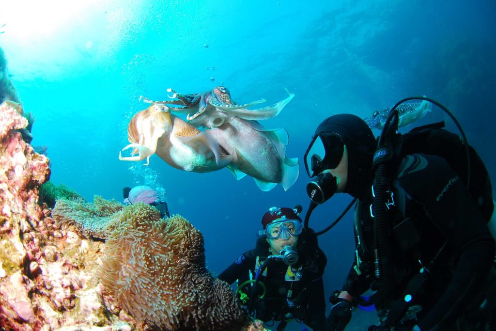 Padre e hijo buceando