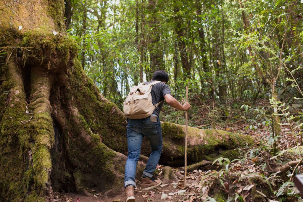Destinos de ecoturismo en México
