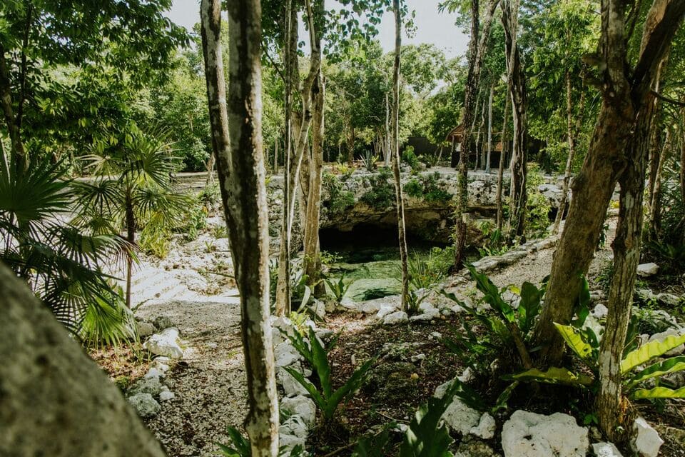 Mejores cenotes Riviera Maya y ruta de los cenotes